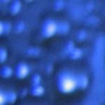 30 - Tailscale Raises $230M to Power Identity-First Networking