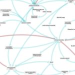 Canadian innovation and entrepreneurial ecosystem 150x150 - Your guide to cryptocurrency regulations around the world and where they are headed