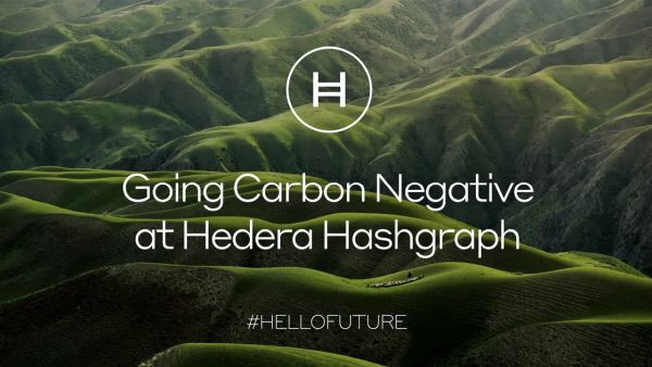 hedera sustainability - All Events