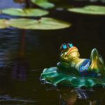 Unsplash KS KYUNG Frog meme 150x150 - Sep 23, 2021:  CSA and IIROC Issue Joint Guidance (Staff Notice 21-330) for Crypto-Trading Platforms Related to Advertising and Social Media